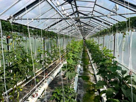 коммерческая по адресу Тараса Шевченко ул., 12