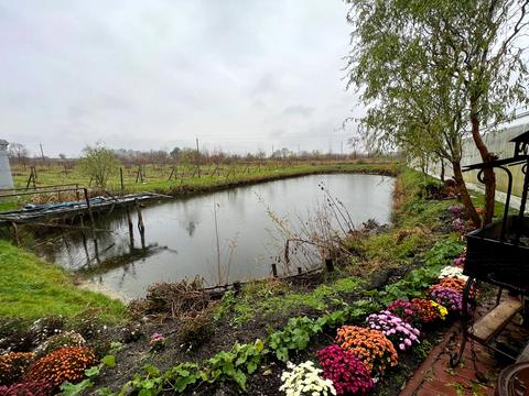 коммерческая по адресу Тараса Шевченко ул., 12