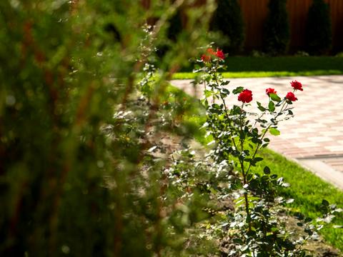 квартира по адресу Василия Барки ул. (Олександра Горовиця), 10