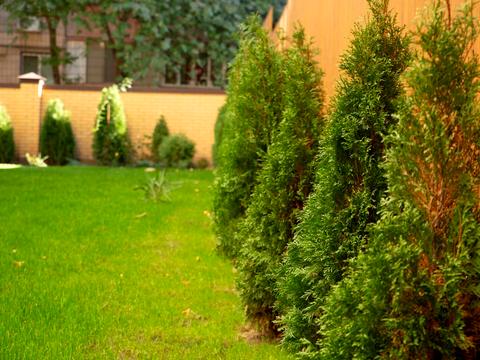 квартира по адресу Василия Барки ул. (Олександра Горовиця), 10