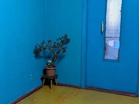 квартира за адресою Мрії вул. (Академіка Туполєва), 22-В