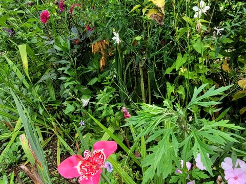 дом по адресу 3 лінія, 142