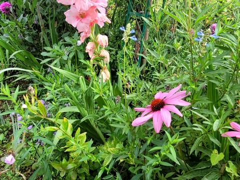 дом по адресу 3 лінія, 142