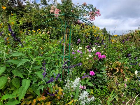 дом по адресу 3 лінія, 142