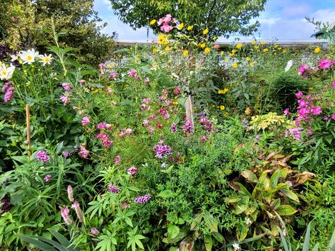 дом по адресу 3 лінія, 142