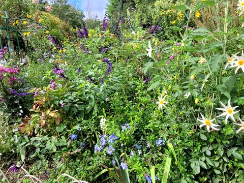 дом по адресу 3 лінія, 142