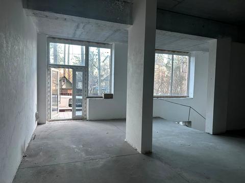 комерційна за адресою Василя Стуса вул. (Пушкінська), 64/68