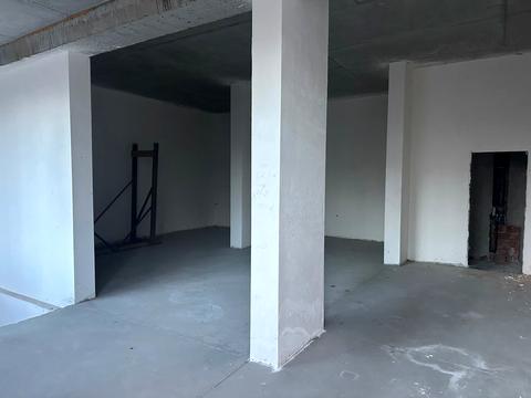 комерційна за адресою Василя Стуса вул. (Пушкінська), 64/68