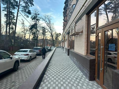 комерційна за адресою Василя Стуса вул. (Пушкінська), 64/68