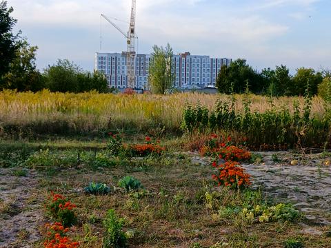 ділянка за адресою 