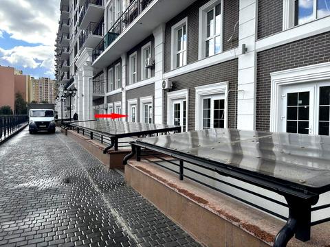 комерційна за адресою Михайла Максимовича вул. (Онуфрія Трутенка), 24-В