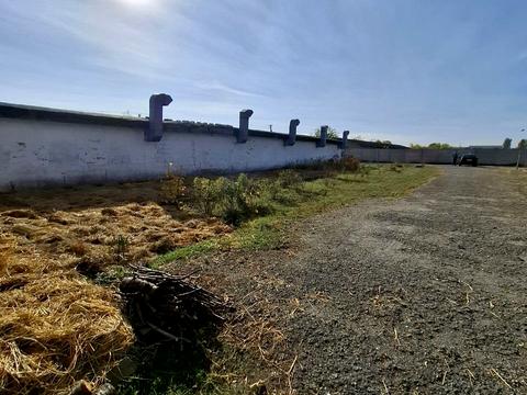 коммерческая по адресу Шевченко, 96А