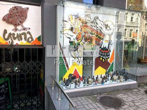 комерційна за адресою Велика Васильківська вул. (Червоноармійська), 28