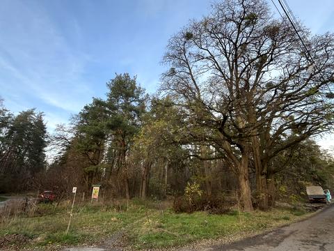 дом по адресу Комарова ул.