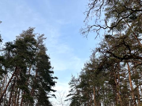 дом по адресу Комарова ул.