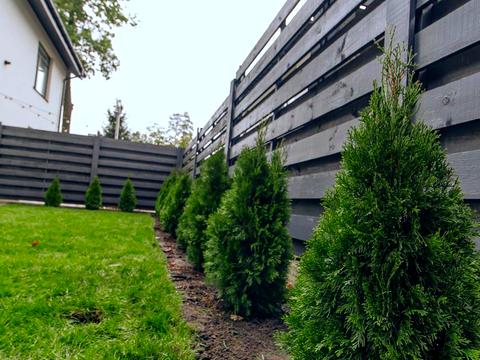 дом по адресу Гамалія