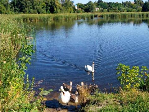 участок по адресу 
