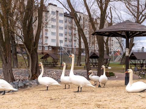 квартира за адресою Приозерний бульв., 5