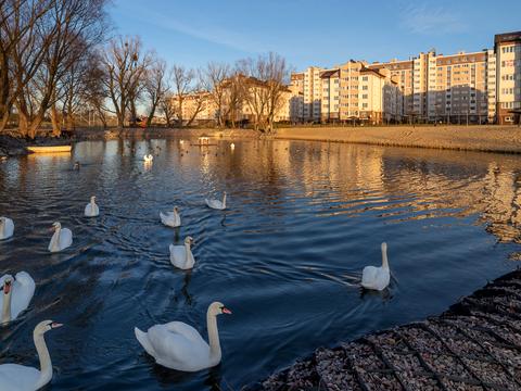 квартира за адресою Приозерний бульв., 5