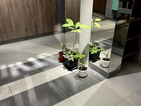 квартира по адресу Академика Заболотного ул., 15-г