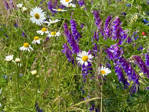 квартира по адресу Грушевского ул., 12