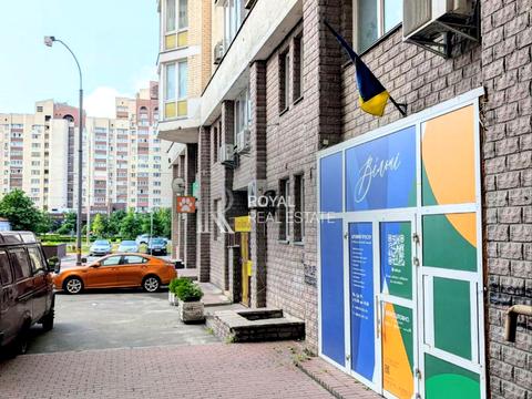 комерційна за адресою Левка Лук'яненка вул. (Маршала Тимошенка), 29