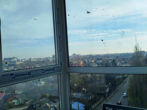 квартира за адресою Домбровського вул., 75