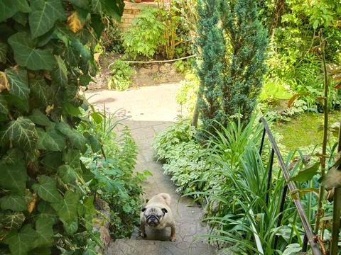 будинок за адресою Академіка Ромоданова вул. (Льва Толстого)