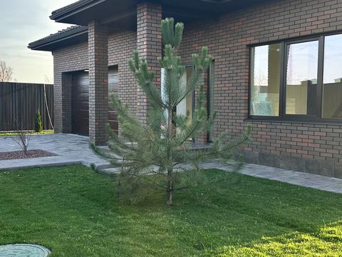 дом по адресу  ул.