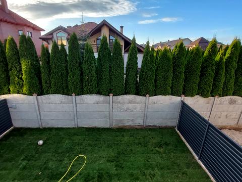 дом по адресу Звёздная ул.