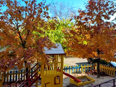 комерційна за адресою Лесі Українки вул., 19