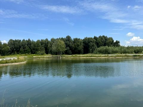 квартира за адресою Героїв Крут вул., 14