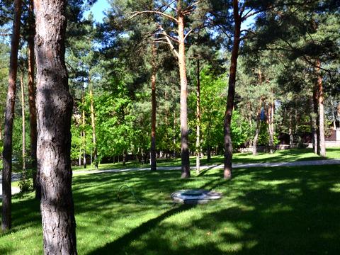 дом по адресу  ул.