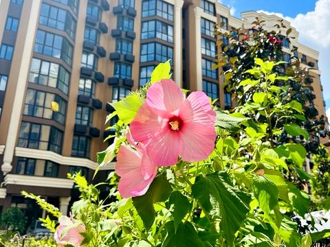 квартира за адресою Мартинова просп., 36