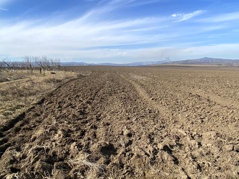 участок по адресу 