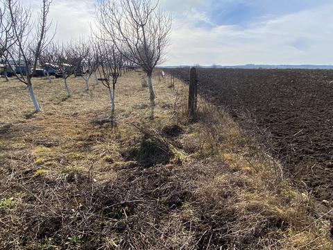 участок по адресу 