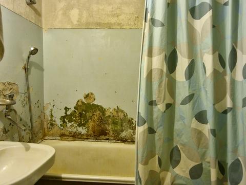 квартира за адресою Домбровського вул., 86