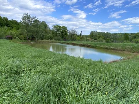 участок по адресу Пантівська