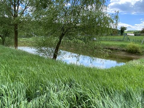 участок по адресу Пантівська