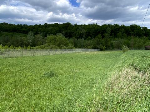 участок по адресу Пантівська