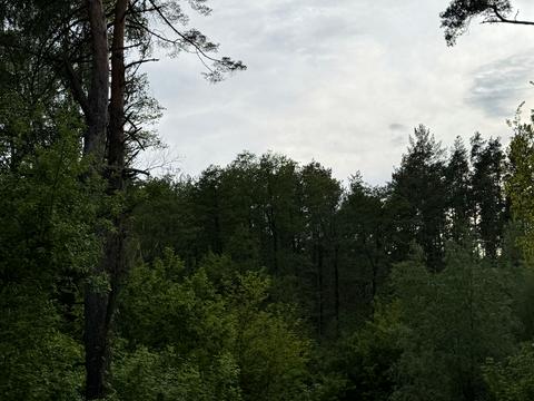 участок по адресу Приозерна