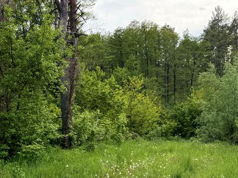 участок по адресу Приозерна