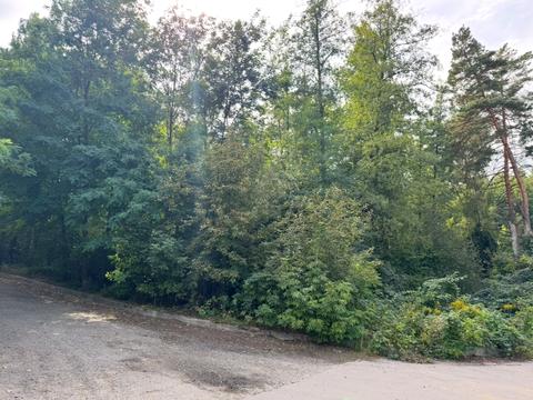 участок по адресу Приозерна