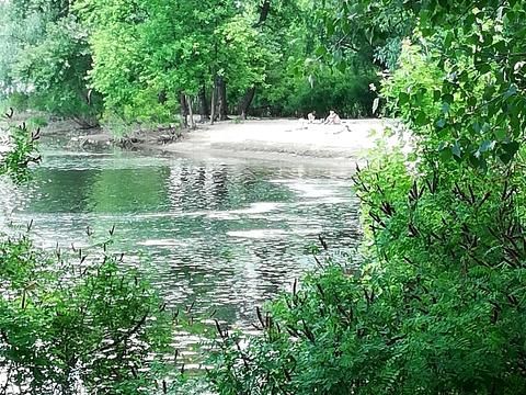 квартира за адресою Русанівська набережна вул., 10