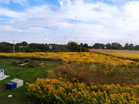 дом по адресу Тисячоліття Борисполя, 51