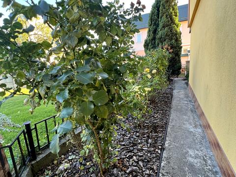 будинок за адресою Вечірня