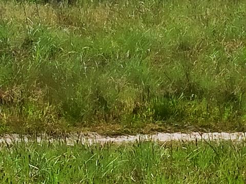 ділянка за адресою квітнева, 217