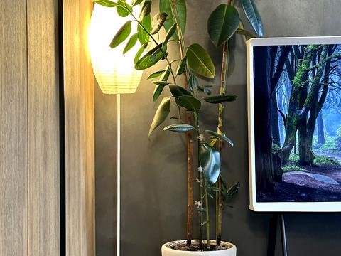 квартира за адресою Ірпінь, Університетська вул., 1