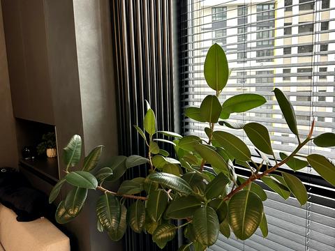 квартира за адресою Ірпінь, Університетська вул., 1