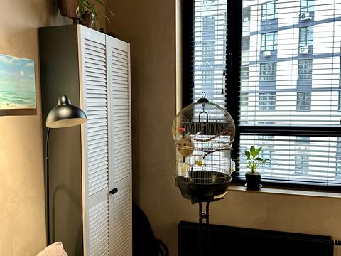 квартира за адресою Ірпінь, Університетська вул., 1